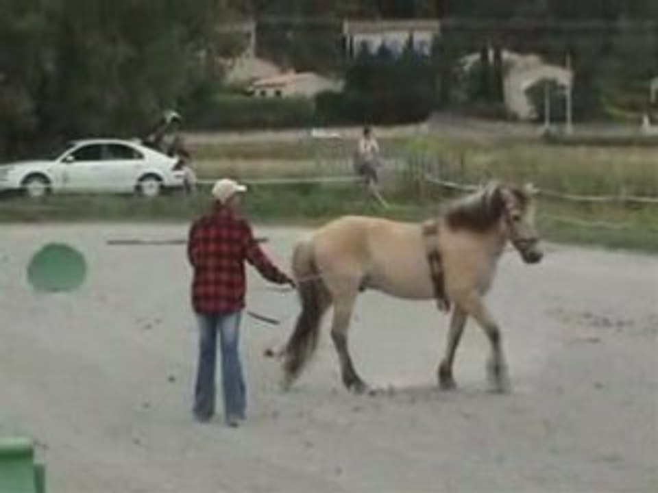 Spectacle 2008 - 2 longues rênes