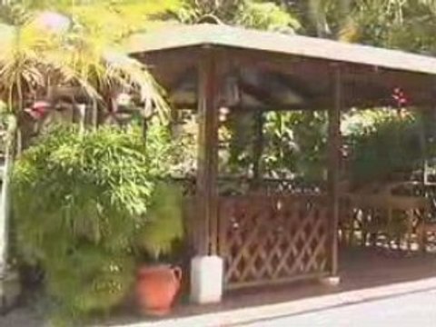 Samara Pacific Lodge - Samara Beach, Costa Rica