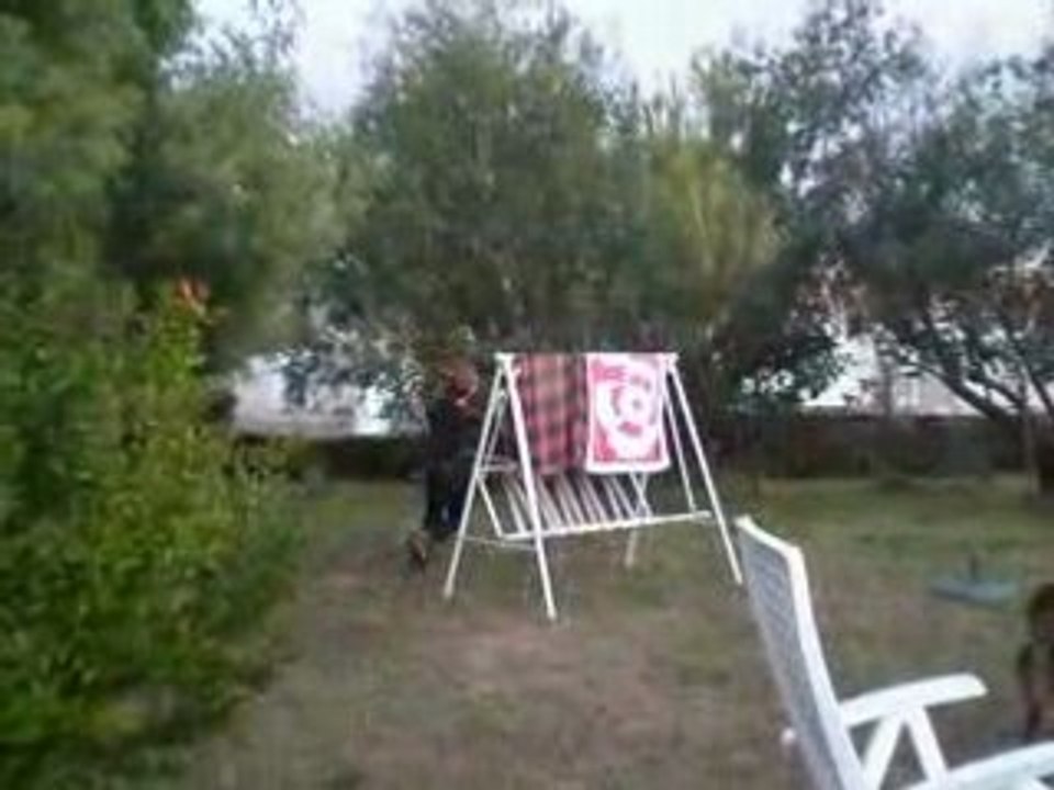dinooo