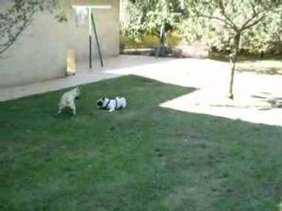 Véline et Dolly en pleine forme !!