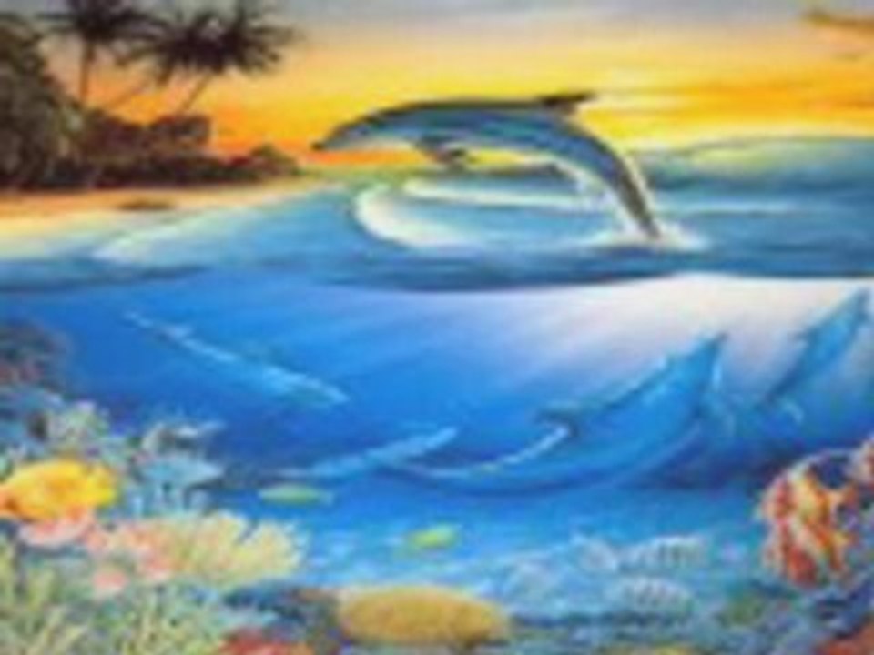 les dauphins