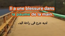 Partie 16 apprendre Les parties du corps humain XI