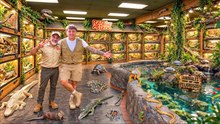 Explorando un ZOOLÓGICO DE REPTILES bajo techo lleno de ANIMALES EXÓTICOS!!