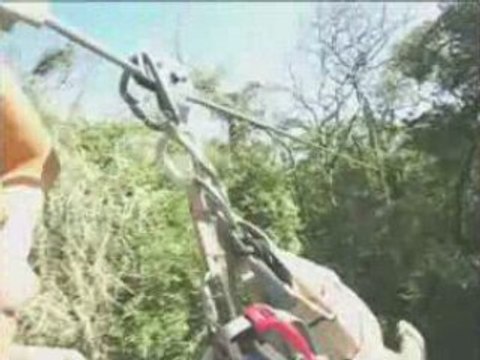 Wing Nuts Canopy Tours 1 - Samara Beach, Costa Rica