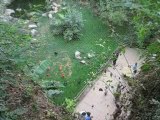 Zoo Doué la Fontaine : volière d'oiseaux