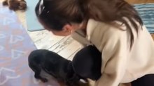 Heartwarming puppy cries with excitement when reunited with owner after a month apart