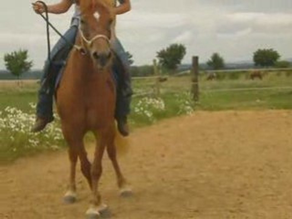 Olina - Nos progrès Mars à Août 2008