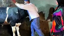 ضحكت طب صلي على شفيعك يوم القيامه ☝️