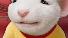 Que devient STUART LITTLE ?
