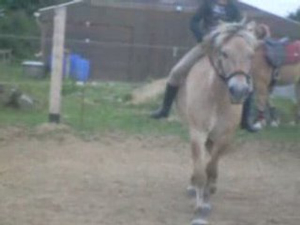 Gamiin oceane galop