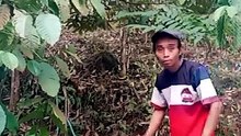 Bikin ngakak