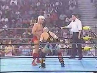 Wcw Bash At The Beach 1996 11/17