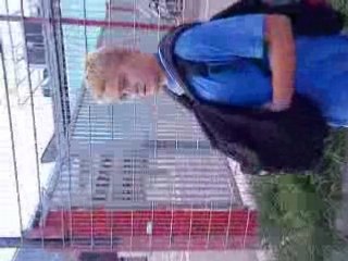 Vidéo Total Débile devenu un très bon souvenir ;)