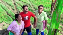 Best funny comedy video