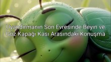 Beyin ve Göz Kapağı Kası - Kurban Olduğum Şuraları Aydınlatı Ver Hele - Böcek Videoları - #mizah