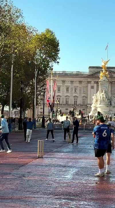 Prince William plays cricket outside Buckingham Palace