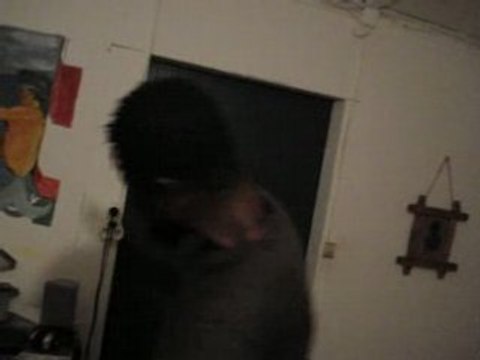 Reggae africain (guiras baba reggae dance)dedicace fumel!!