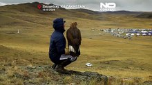 Первый открытый Азиатский кубок по соколиной охоте в Казахстане