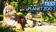 Planet Zoo 2: Das heimliche Highlight ist gar kein Zoo!