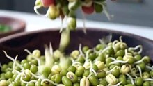 YUnlock the Secret to VIRAL Healthy Recipe Shorts! 📈💚 - Must-Try Ideas for 1 Million Views! #viralfood #recipes