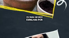 Fertilizantes de plantas