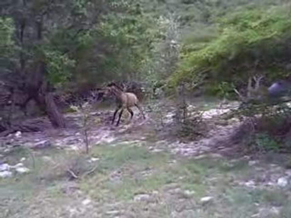 Tos a bell beach le 24 aout 08 002