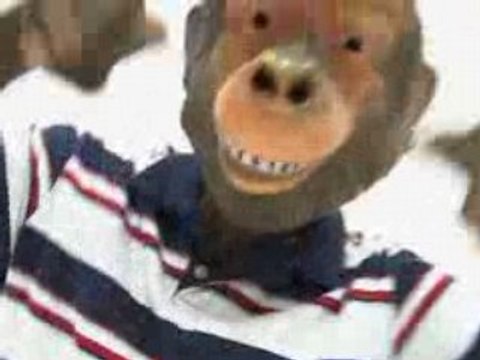 SVINKELS :: Le Club de l'Apocalypse :: non-officiel