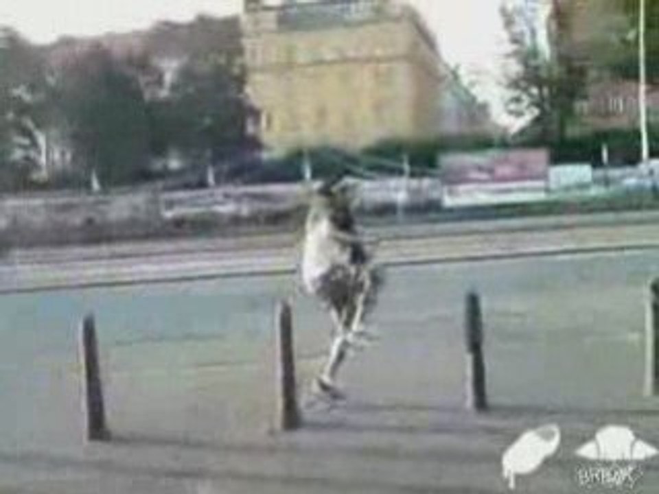 Regis_marche_sur_des_bites