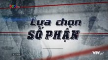 Lựa Chọn Số Phận - Tập 1 - HP Media