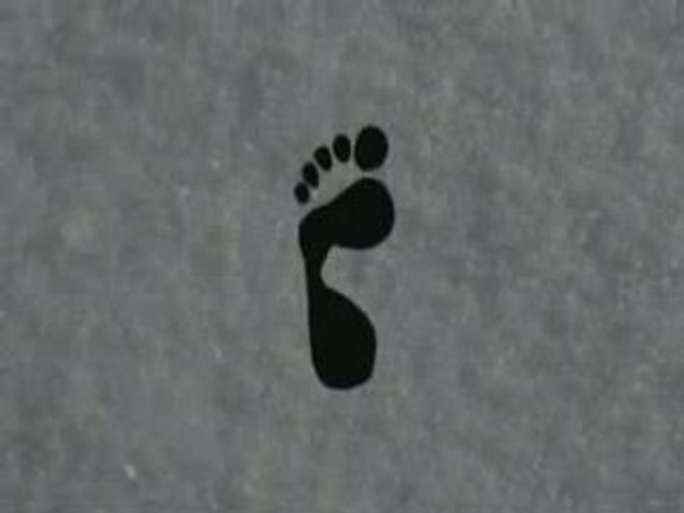 YETI MORPHING
