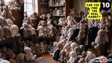 #YourEyesVsTheRabbits 👀⚔️🐇 Can You Find The Real Rabbit? (Part 1) 🐰