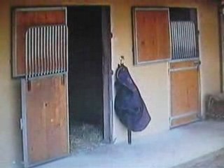 Gery et luthier aux ecuries