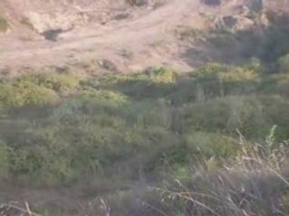 yaşar örtmezin bıldırcın postası