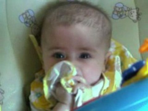 loane