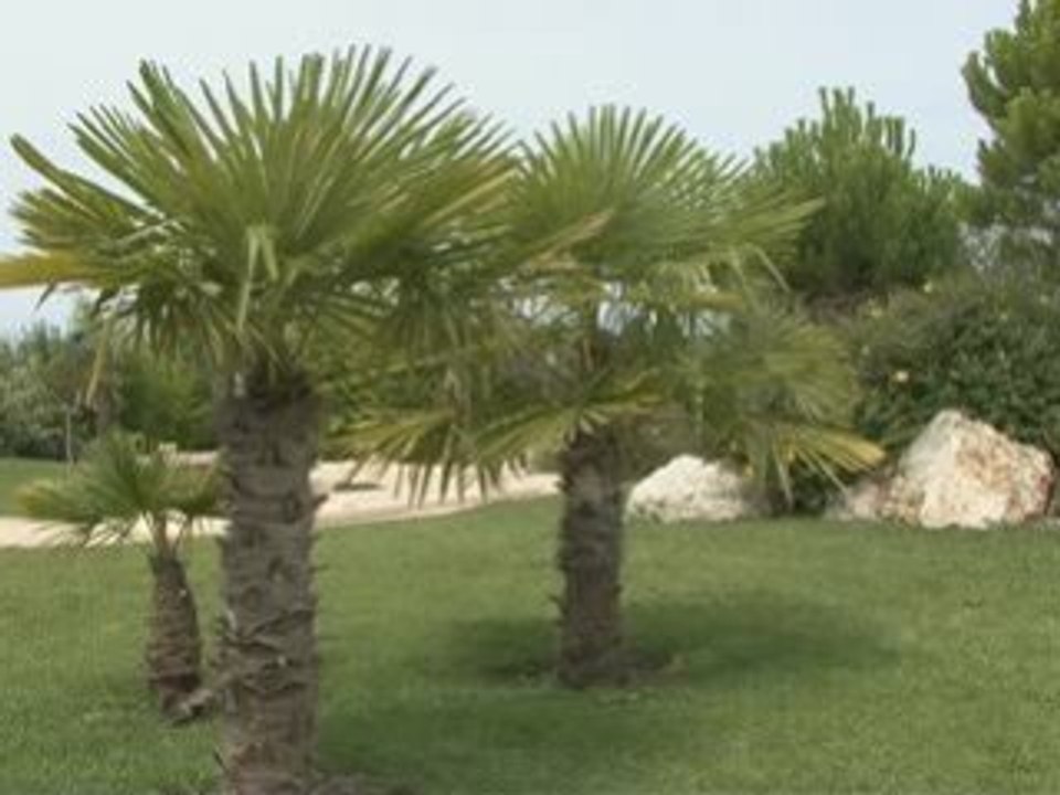 Video du mini-golf du lac de Chateauneauf-sur-Isère