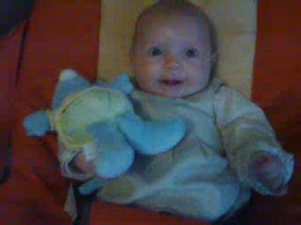 loulou en transat