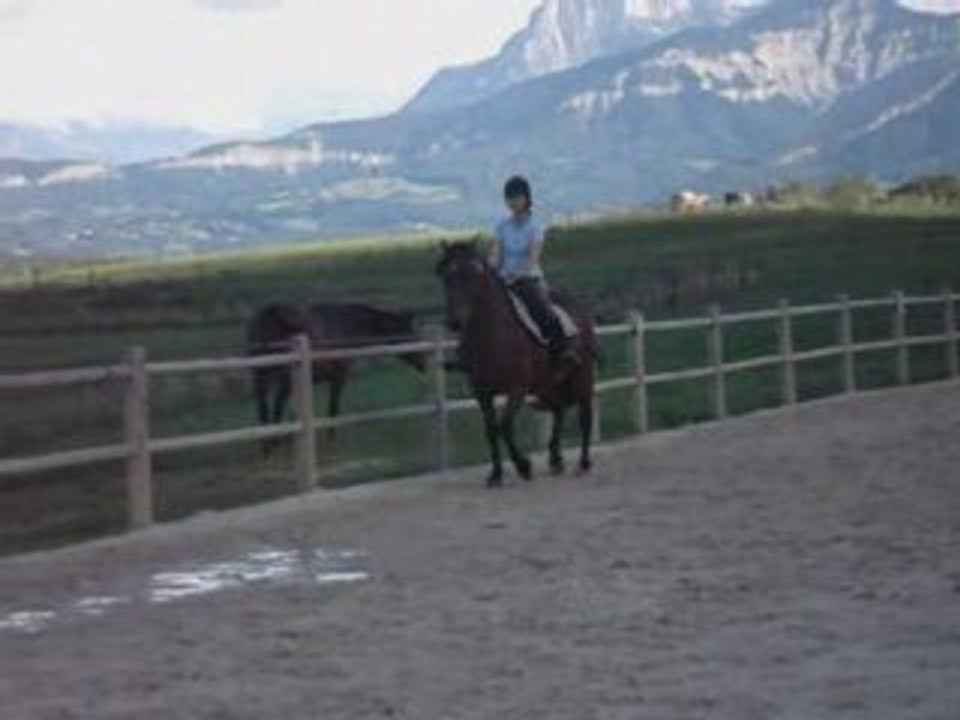 Travail au trot et au galop