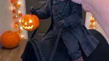Headless Horseman Pet Costume | Easy Halloween Outfit for Cats & Small Dogs