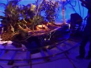 Maison Mère Production: Short Films and Animation Clips