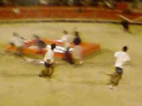 un bouchon pour le poulpe au toro piscine de portiragnes