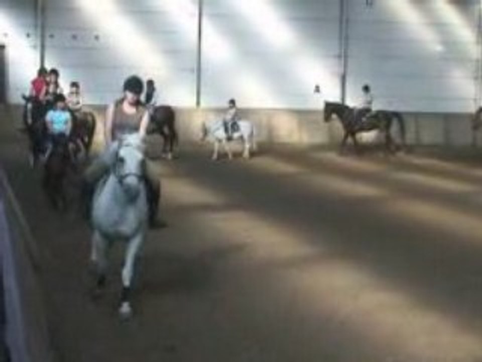 Charley et mistigris