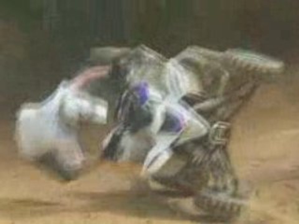 Wheeling quad LTR raptor Stunt gamelle