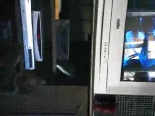 reglisse ki regarde la télé