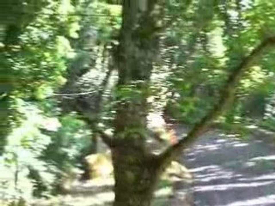 course de cote de chanaz 2008 Lionel Regal