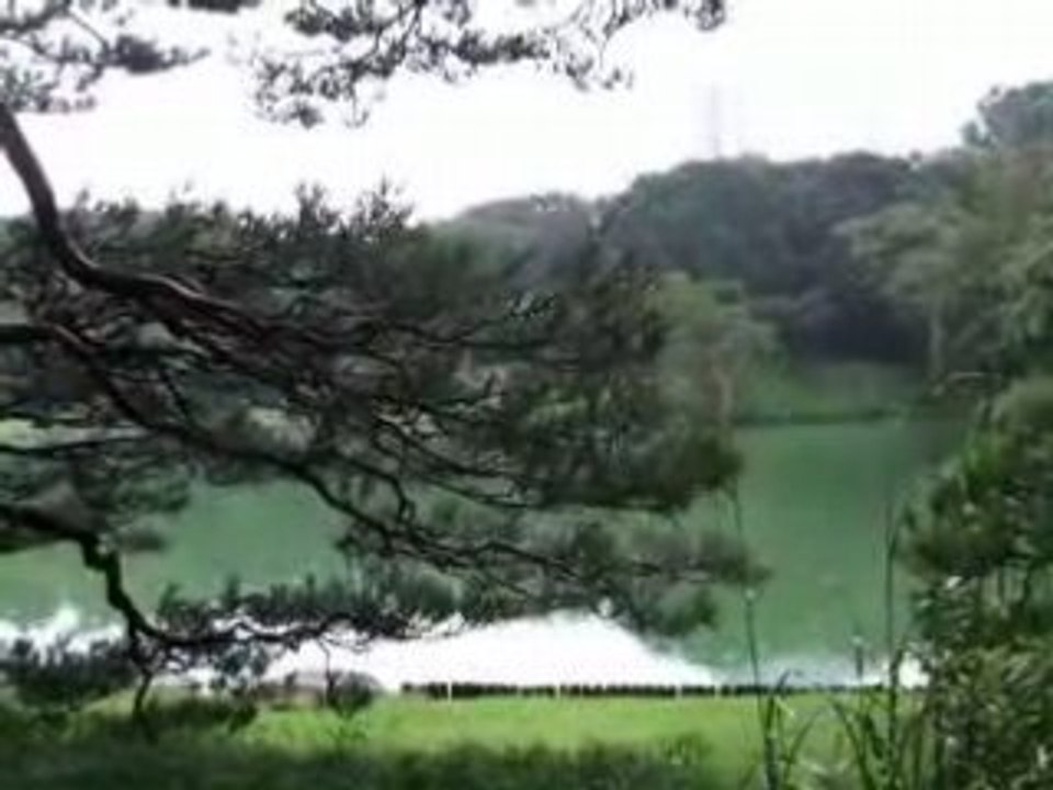 Le son du Japon, 19 : pluie au jardin