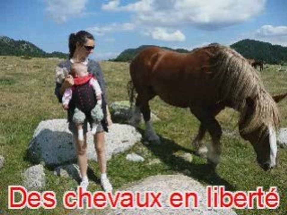 Mont louis 4