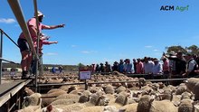 Murray Bridge Elders XBL sale