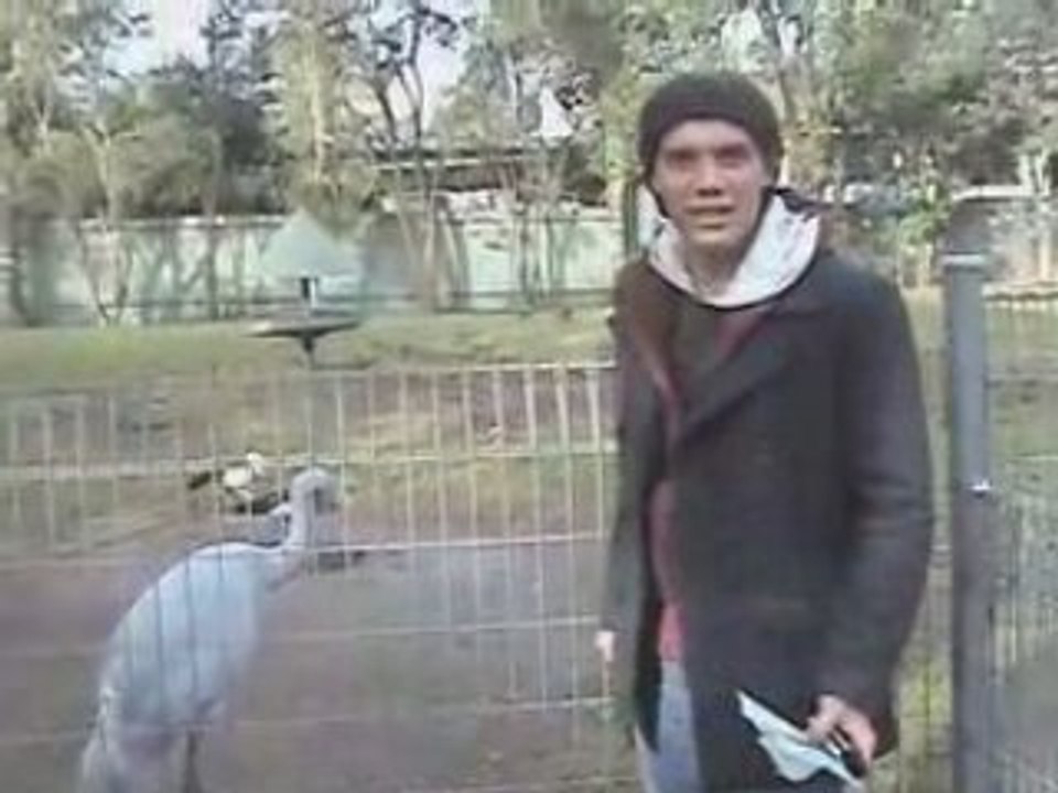 AUG21australiazooweb