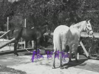 Tilt et moi, hier ça faisait 2 mois