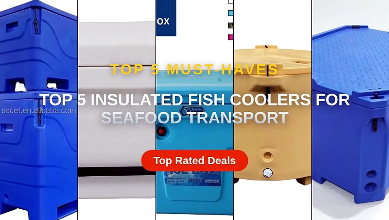 Top 5 Best Top 5 Insulated Fish Coolers For Seafood Transport (Must ...